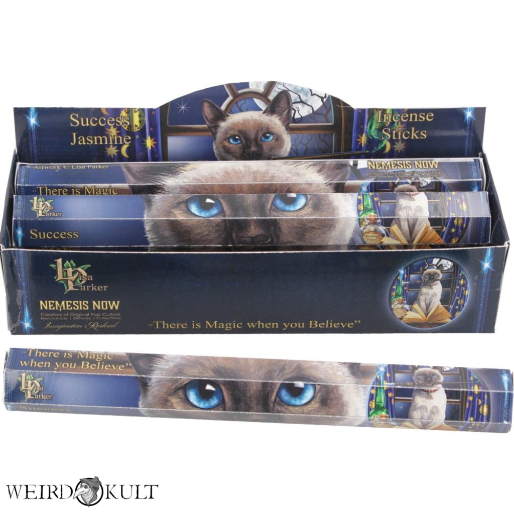 Success Incense Sticks (Jasmine) Home-Decor