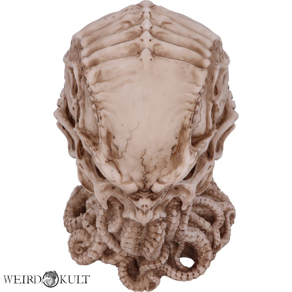Cthulhu Skull (20 Cm) Home-Decor