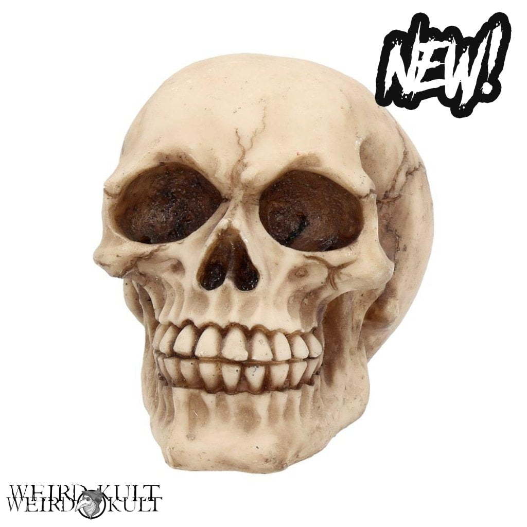 Skulpturer Og Statuer - Natural Skull 12 Cm